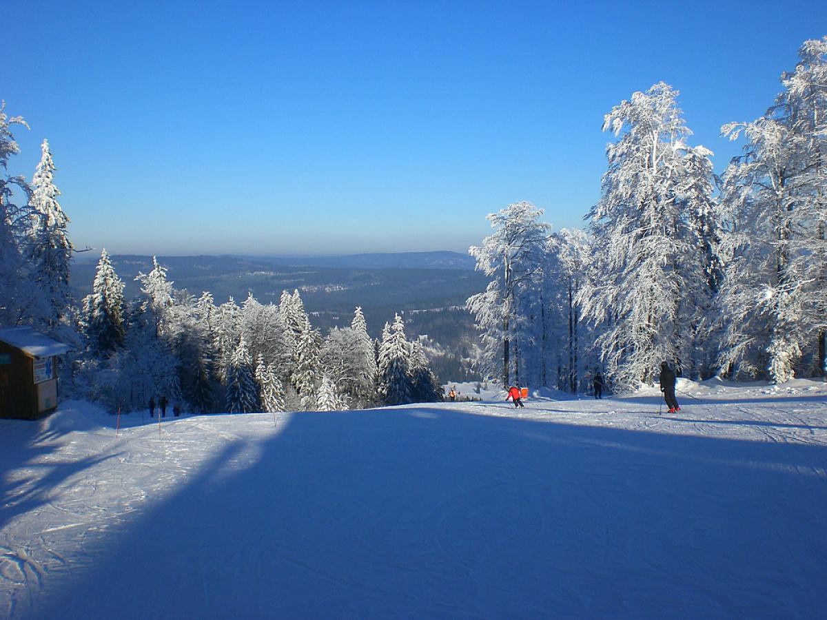 Pension Philippsreut "Zum Pfenniggeiger" Am Goldsteigwanderweg Extérieur photo